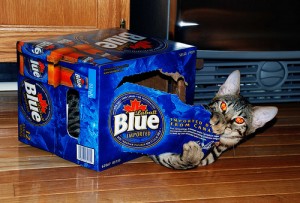demon alcohol