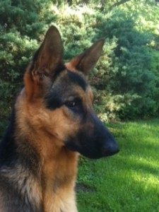 sam5242011 vertical